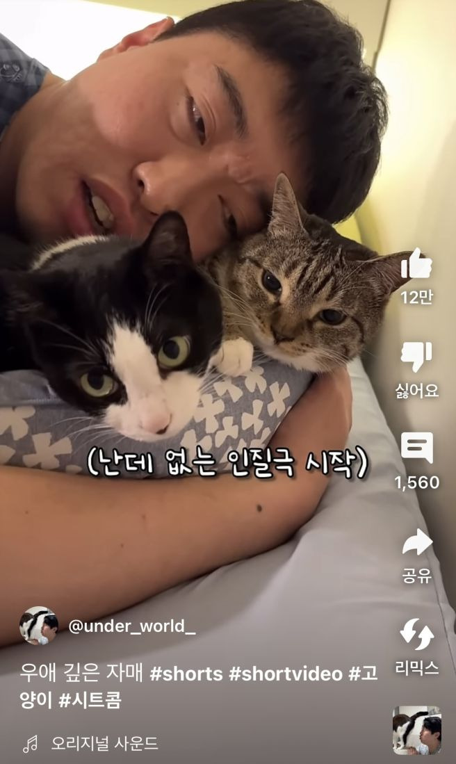 송하빈 고양이 춘봉 첨지