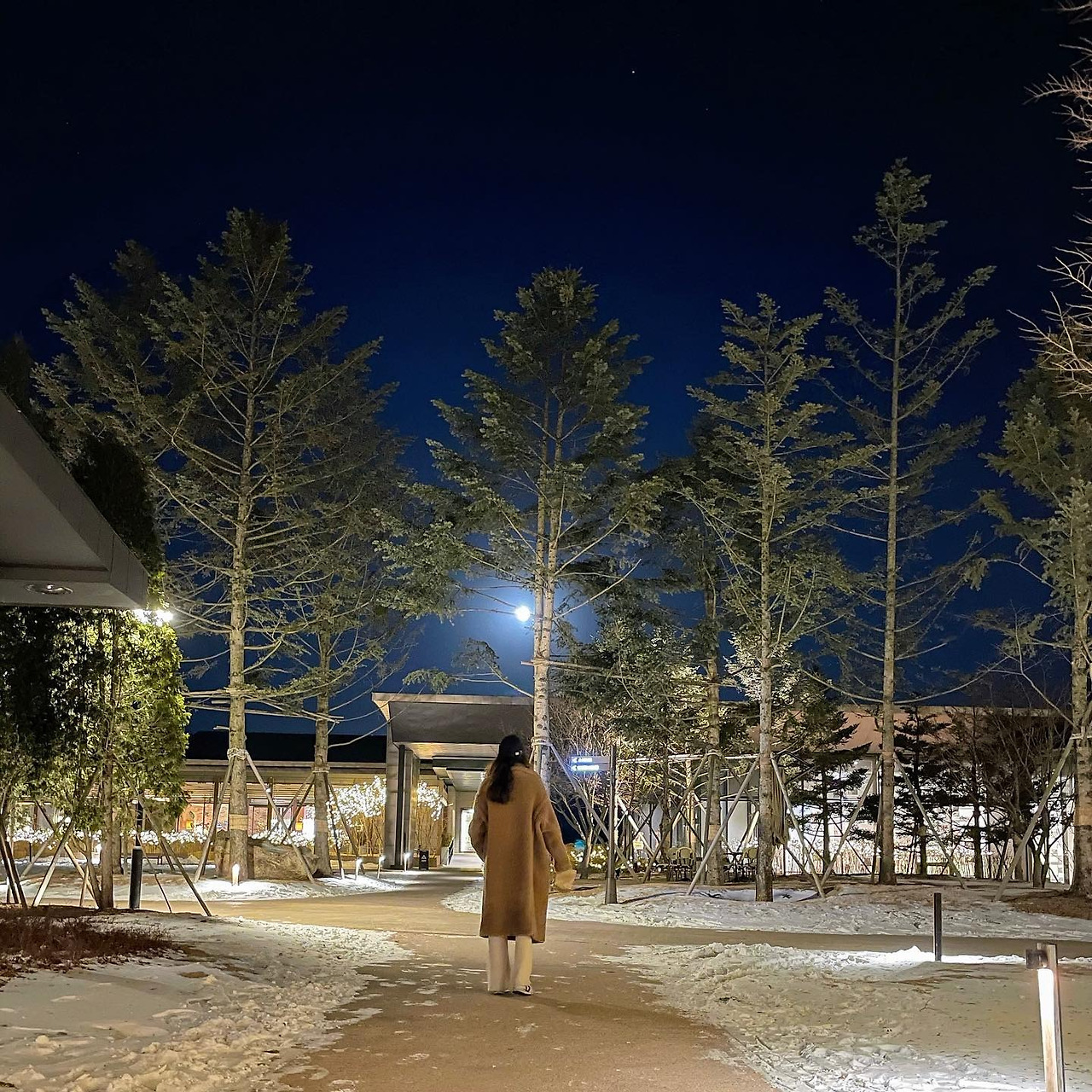 최지우 데뷔