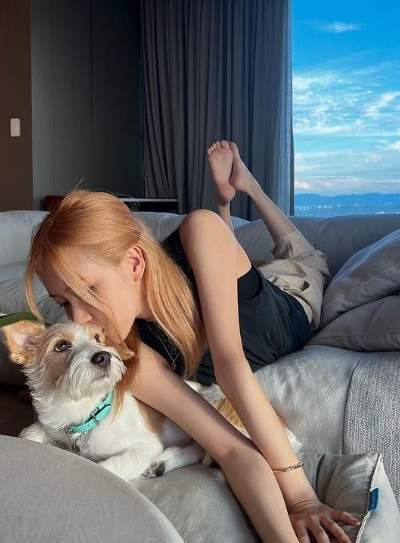 로제