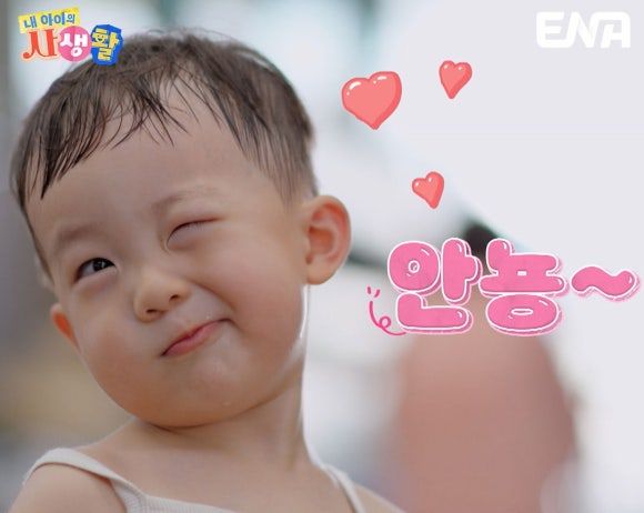 태요미네 태하
