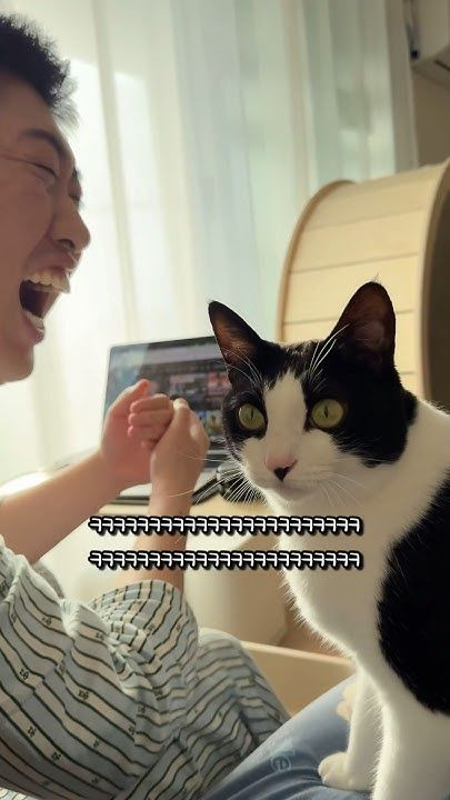 송하빈 고양이 춘봉 첨지