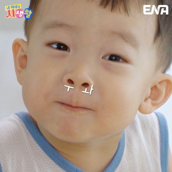 태요미네 태하