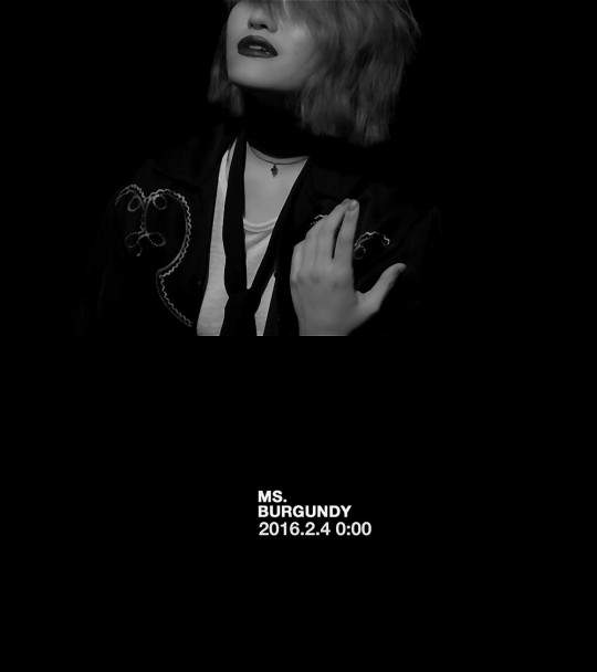 손승연 프로필