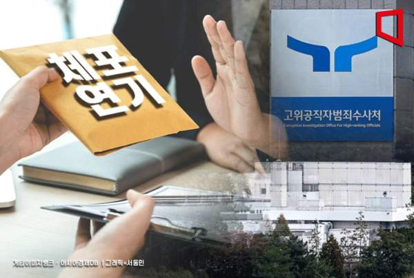 송진호 변호사 법조 경력