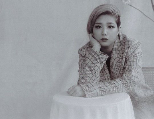 안예은 데뷔