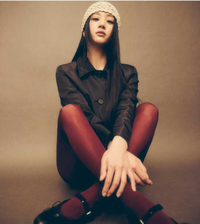 홍화연 보물섬