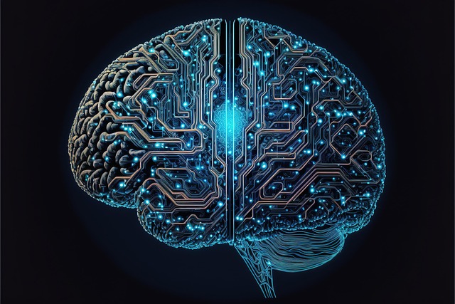 El secreto de la glándula pineal: hallazgos sobre el tercer ojo en el cerebro