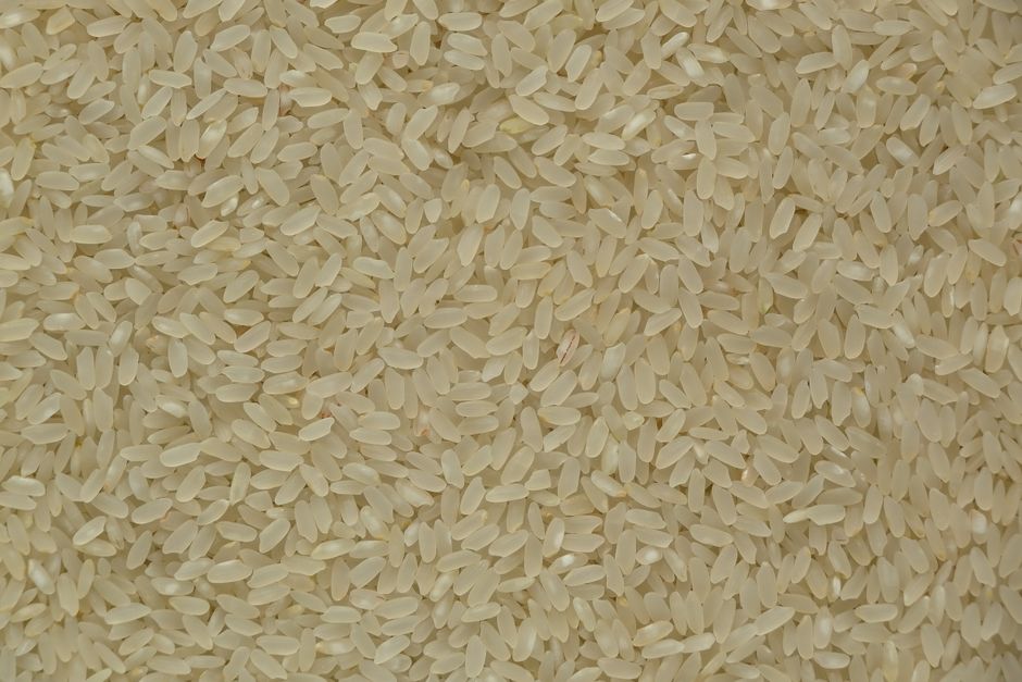 Riz brun germé et riz brun : bienfaits et effets secondaires
