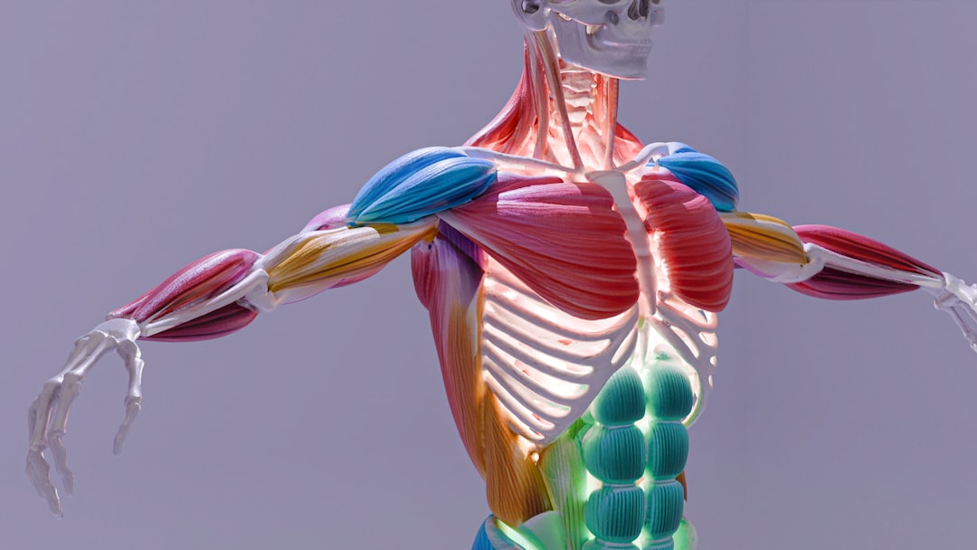 Preventing Osteoporosis with Core Muscle Exercises