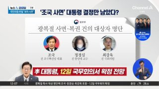 정경심 가석방 사면