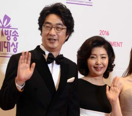 홍혜걸 프로필