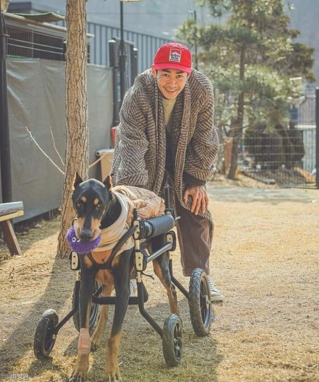 배정남 반려견 벨 사망