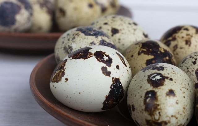 Egg Cooking Tips and Delicious Recipe Introduction