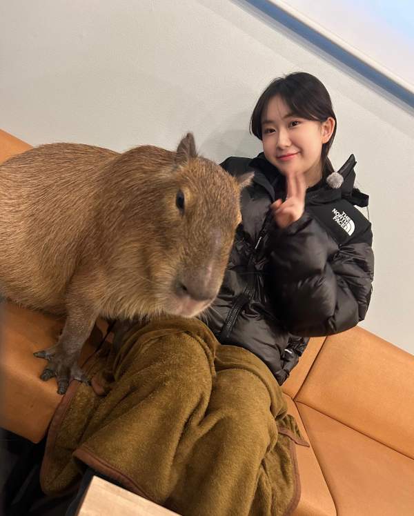 전유진