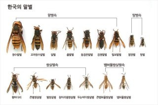 최문보 교수 1호 제자 김재희 연구원