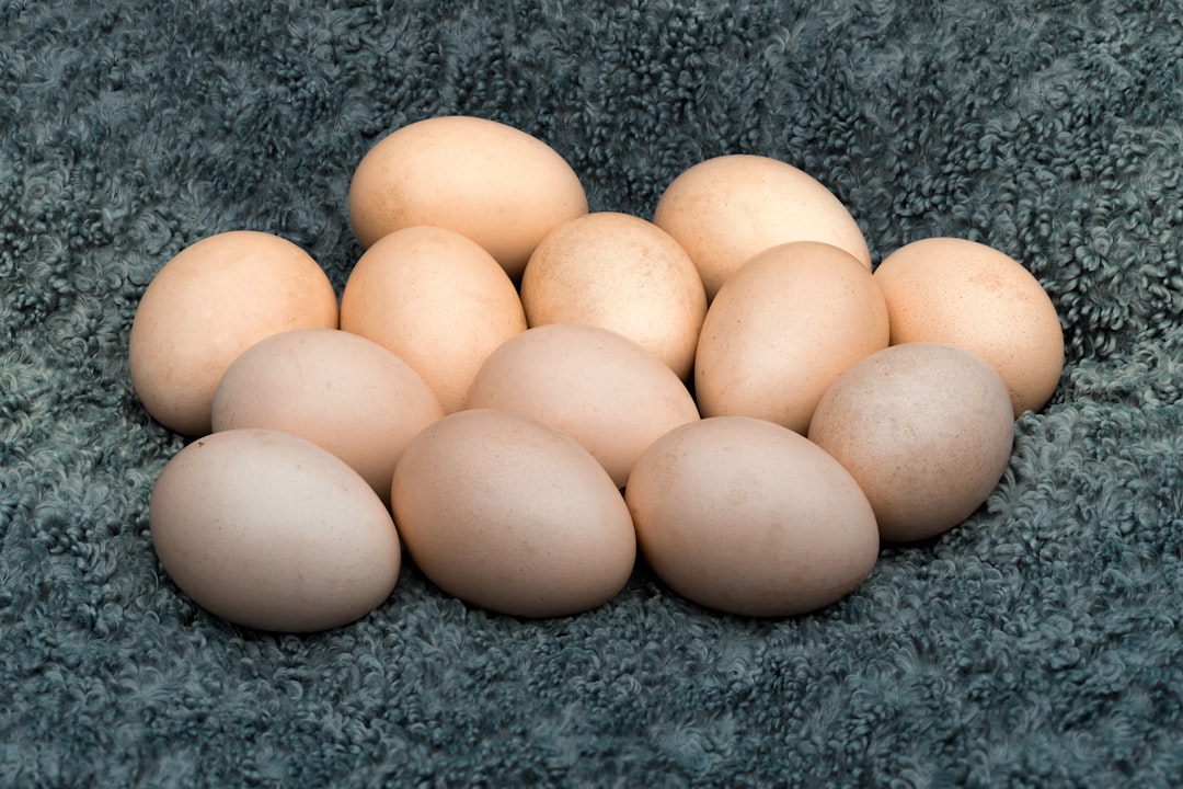 Bedeutung und Unterschiede der Eier-Schalencodenummern 1, 2, 3, 4