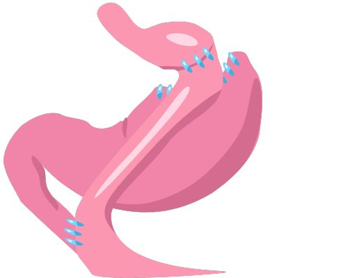 문체부 홍선옥 사무관