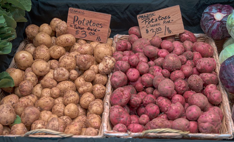 Comment conserver les pommes de terre : astuces pour maintenir leur fraîcheur