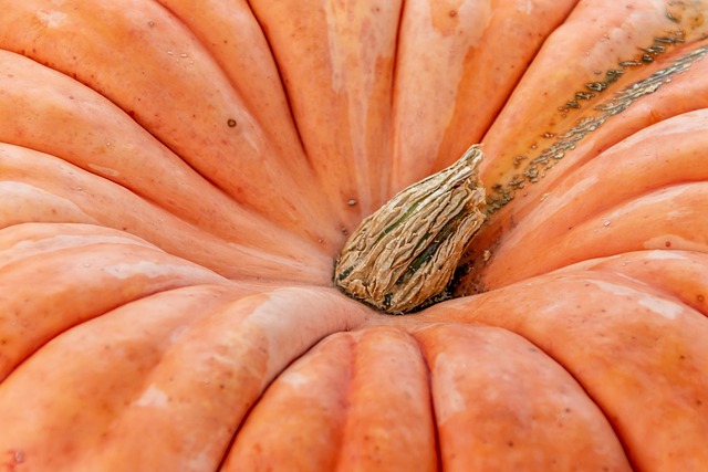 Los 7 mejores frutas y verduras para la salud ocular