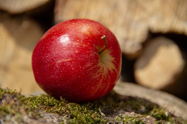 6 Gemüsesorten und Früchte gegen Verstopfung, Lebensmittel für eine gesunde Darmfunktion