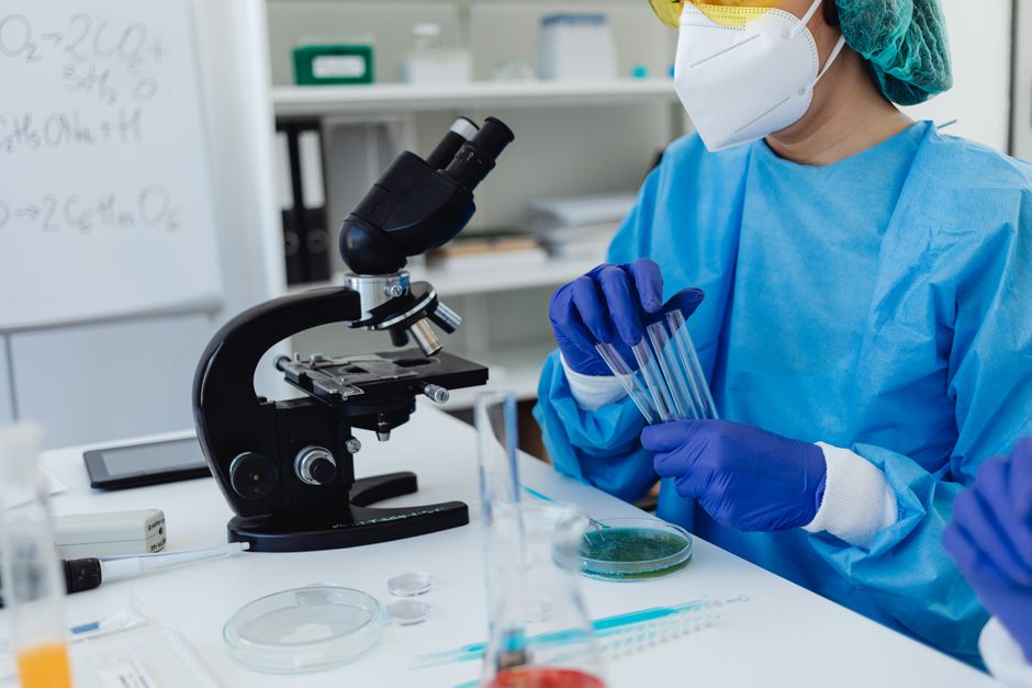 Statut des exportations technologiques de la K-Bio et analyse du cours des actions
