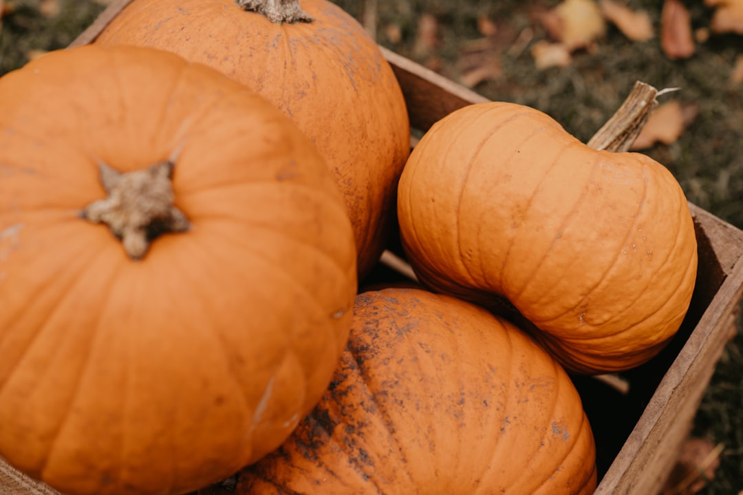 Guía del Índice Glucémico (IG) de la Calabaza Coreana para Diabéticos