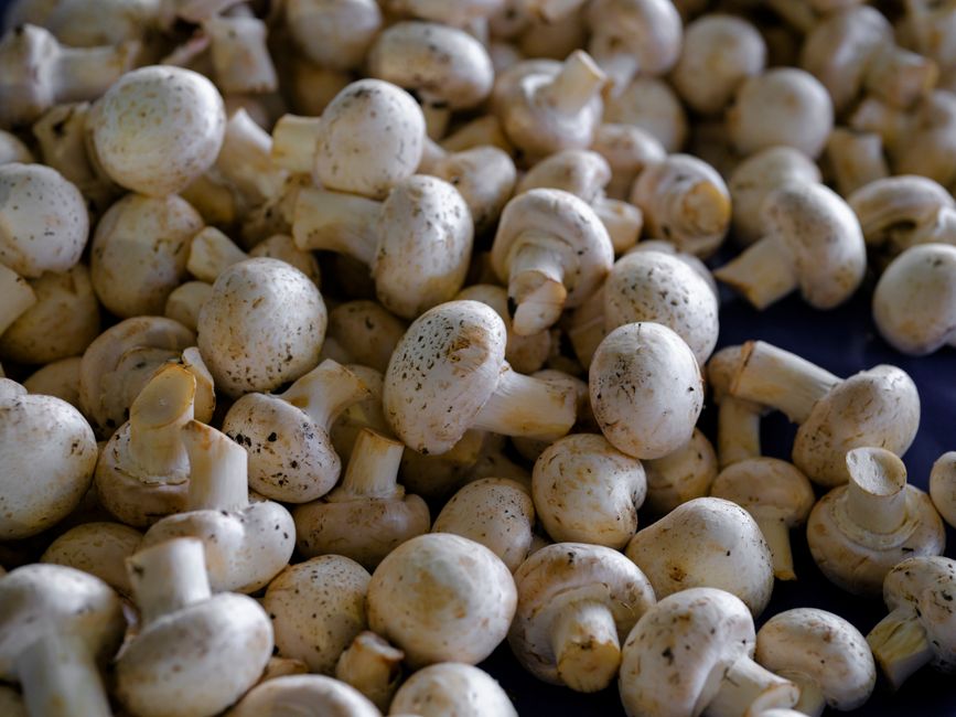 Shiitake-Pilz Vorteile, Nebenwirkungen, Nährwerte und Reinigungsmethoden