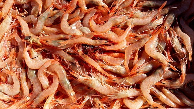 Case introduction of necrotizing fasciitis infection after eating shrimp