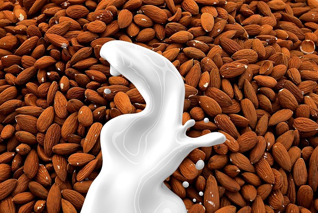Understanding Soy Milk Food Pairings - Healthy Eating Tips