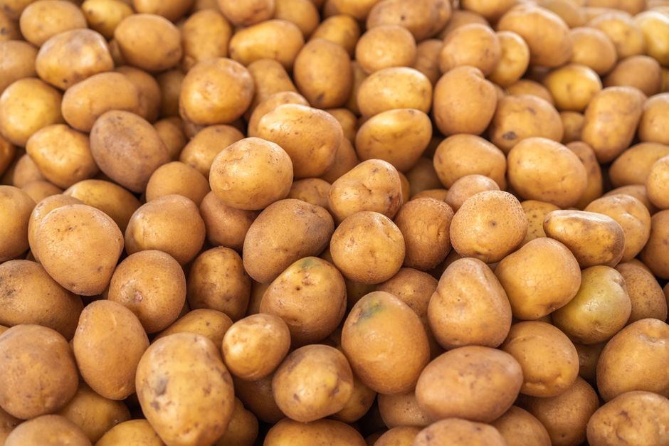 さつまいものGI値とGL値:健康的な食べ方